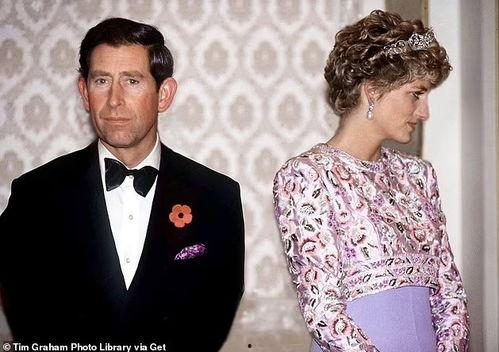 最新爆料学校食堂内部机密曝光,内部机密曝光，真实后厨操作大公开  第1张